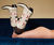  Ladies Footwear  