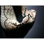 Lynott 'Pushca' Rock n Roll Chelsea Boot