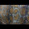 The 'Nightporter' Overnighter Bag - Africa Snake Bronze