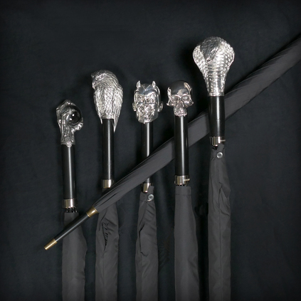 Umbrellas and Canes